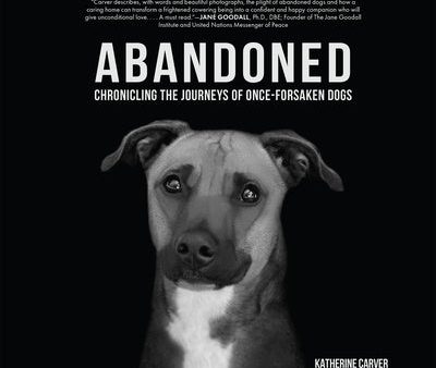 Abandoned: Chronicling the Journeys of Once-Forsaken Dogs Online Sale