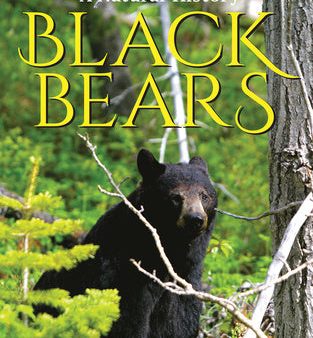 Black Bears: A Natural History on Sale