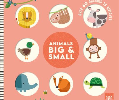 Animals Big & Small: Over 60 Animals to Discover Sale