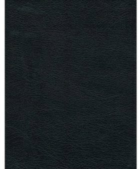 Premium Bible-NRSV Hot on Sale